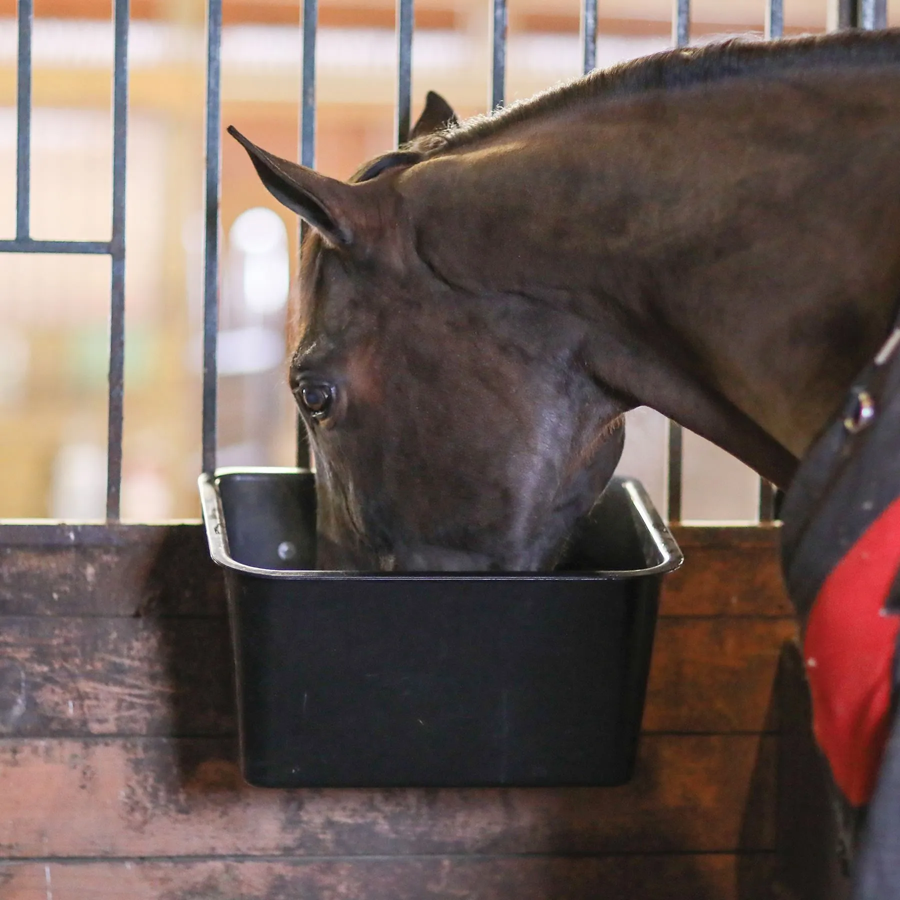 Dura-Tech® Large Hook-Over Feed Bucket - 8 Gallons 15 Dura-Tech® Large Hook-Over Feed Bucket - 8 Gallons - Image 15